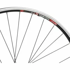 Bc Basic Urban XT V-Brake / Disc Center Lock DT Swiss 535 28" Laufradsatz -Fulcrum-Laden 396867