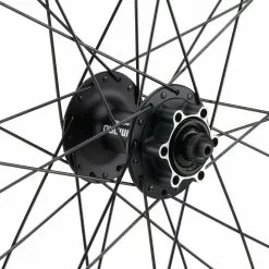 Bc Basic Mountain Alivio Disc 6-Loch DT Swiss 466d 29" Laufradsatz -Fulcrum-Laden 399633