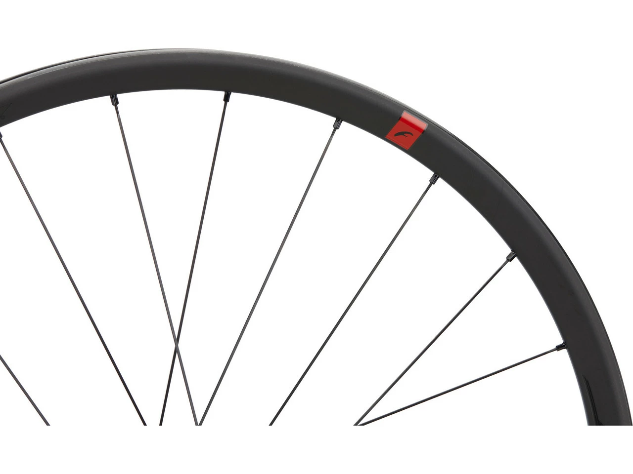 Fulcrum Speed 25 DB Disc Center Lock Carbon 28" Laufradsatz 6 Fulcrum Speed 25 DB Disc Center Lock Carbon 28" Laufradsatz – Bild 6