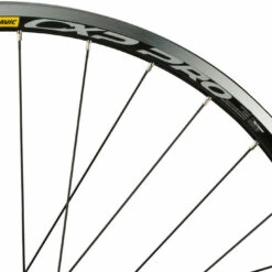 Delux + CXP Pro + Sapim Race 28" Laufrad -Fulcrum-Laden 160071