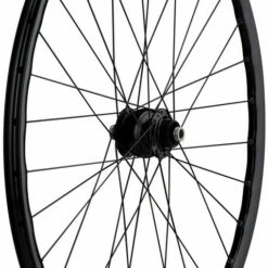 Delux 12 + Open Pro UST Disc + Sapim Race 28" Laufrad