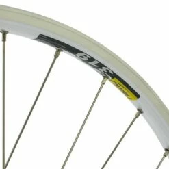 28 + A 319 + Sapim Race 28" Laufrad -Fulcrum-Laden 84167